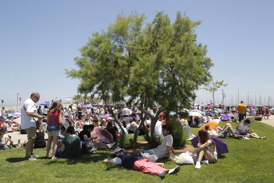 Los concursantes del talent musical recalan el viernes por la noche en la Marina Sur de Valencia para ofrecer un concierto en el que sonarán las canciones más emblemáticas de esta edición del.