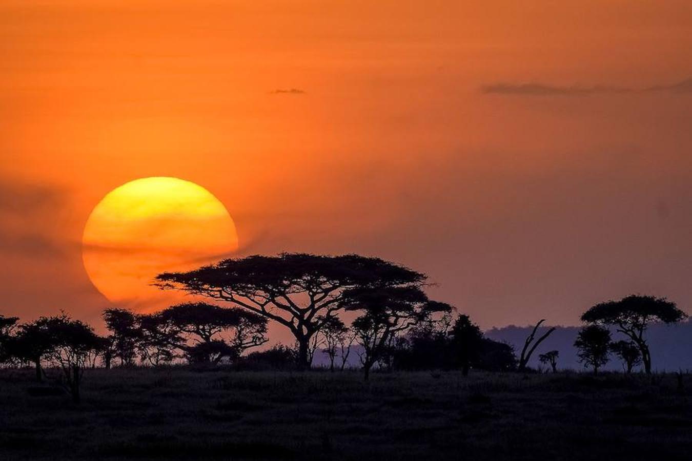 Parque Nacional del Serengueti (Tanzania)