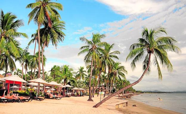 Una de las playas de las islas Fiji, con sus famosas palmeras. 