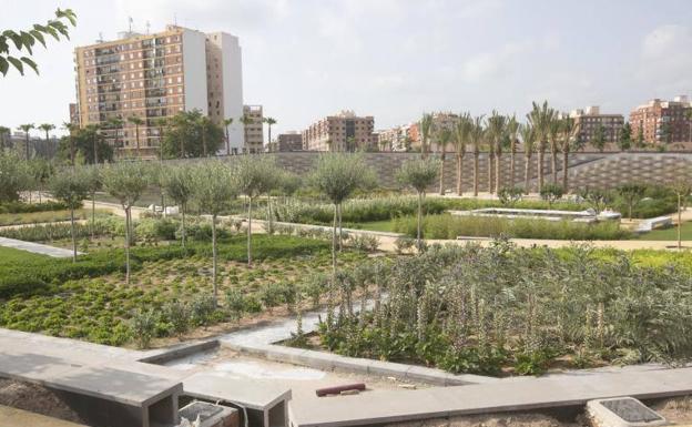 Estado actual del Parque Central de Valencia. 