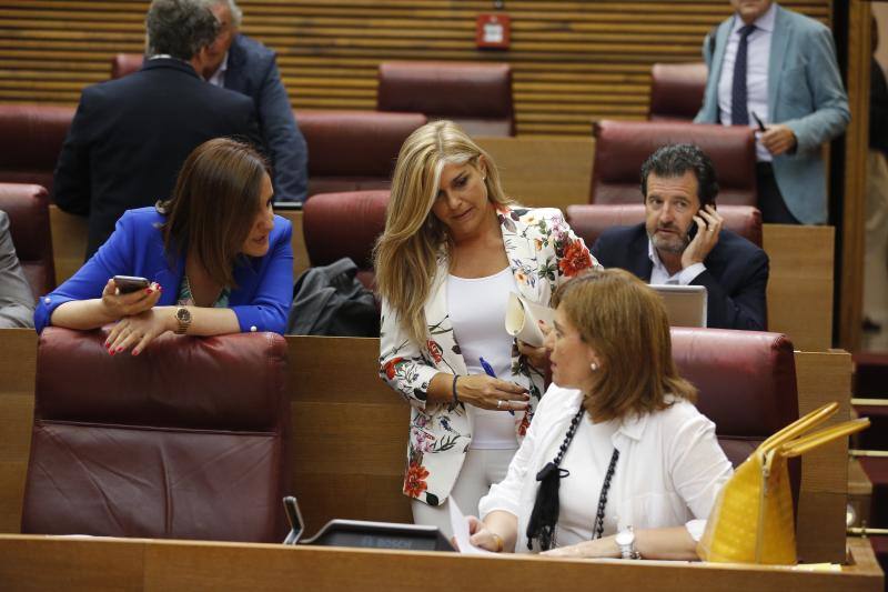 Fotos: Fotos del pleno de Les Corts y la sesión de control a Puig