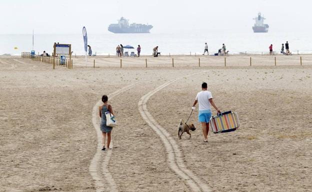Dos nuevas playas valencianas se abren al baño con perros