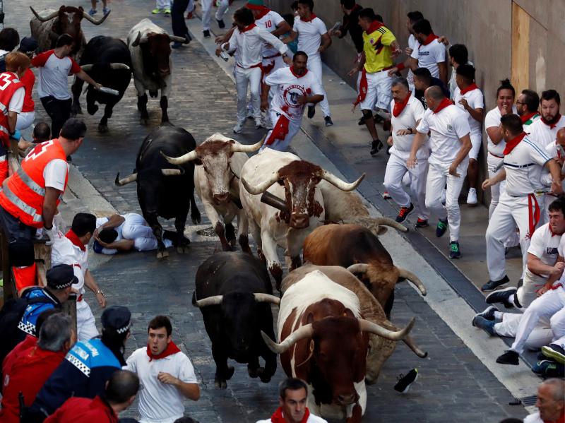 Los astados protagonizan una carrera rápida con algunos momentos de tensión