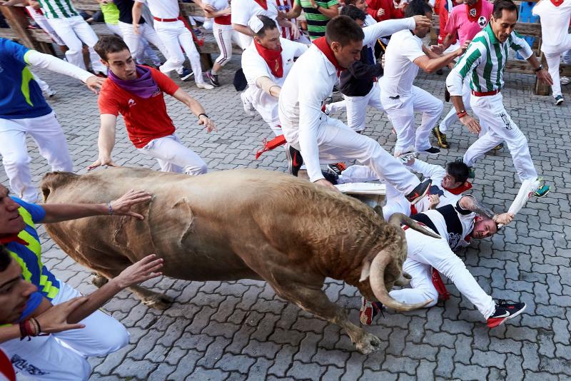 Los astados protagonizan una carrera rápida con algunos momentos de tensión