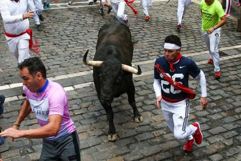 Fotos: Fotos del encierro de San Fermín con toros de Jandilla (viernes 13 de julio de 2018)