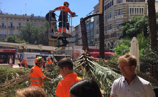 Servicios de jardinería limpiando la zona. 