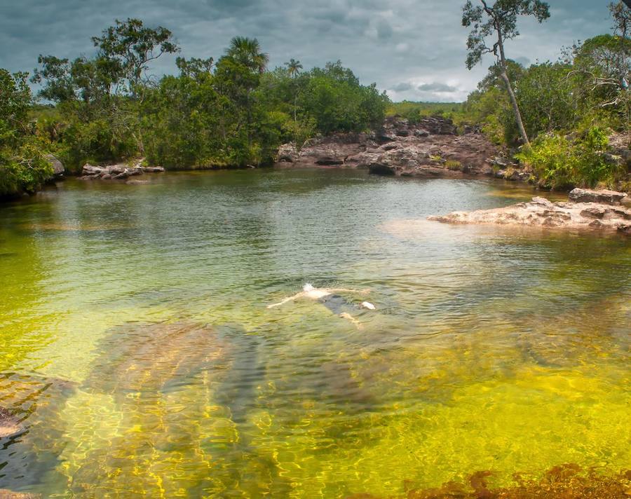 Parece sacado de un cuento pero en realidad se encuentra en Colombia (a unos 150 kilómetros al sur de la capital, Bogotá). El Caño Cristales o el río de colores, como también es conocido, es una de las bellezas naturales del planeta. Su singularidad se encuentra en su recital cromático que parece sobrenatural. Considerado por muchos como el río más bonito del mundo se conserva virgen. Con una riqueza biológica única, recorre alrededor de 100 kilómetros de la Serranía de la Macarena, un conjunto rocoso de 1.200 millones de años de antigüedad.