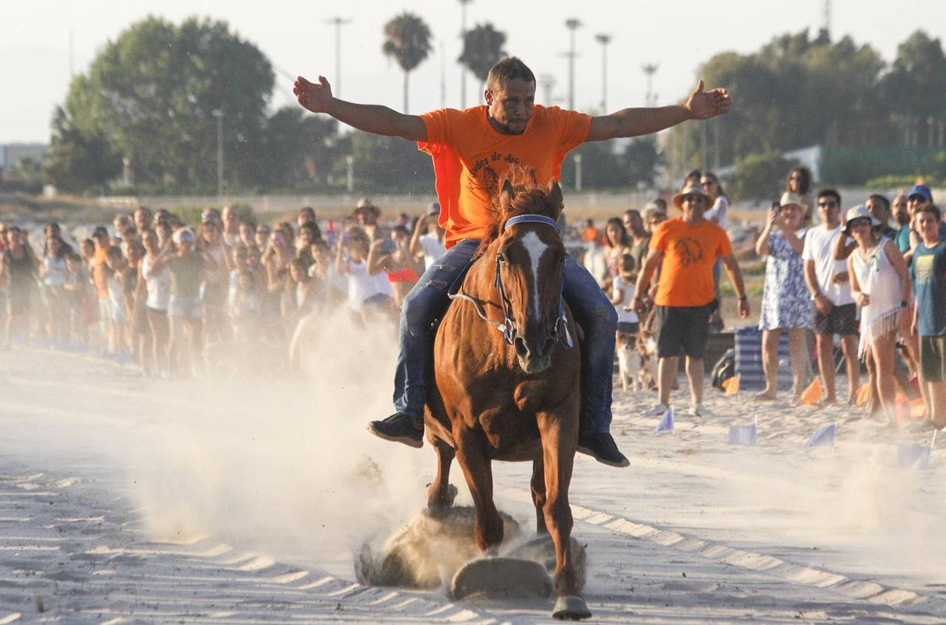 Como cada año desde hace más de dos siglos, este miércoles se celebró la carrera final de uno de los espectáculos con más historia que completan el calendario de fiestas de Pinedo. La exhibición se desarrolló entre las 20 y las 22 horas junto a la playa canina. Este año, la exhibición ha estado compuesta por ocho jinetes de diferentes poblaciones, entre otros Vera Piquer, Empar Zumalde y Pepe Piquer con cuadras de Beniparrell, Albal i El Perellonet. Por segundo año consecutivo, esta fiesta ha sido incorporada a la Feria de Julio, lo que incrementa el ambiente