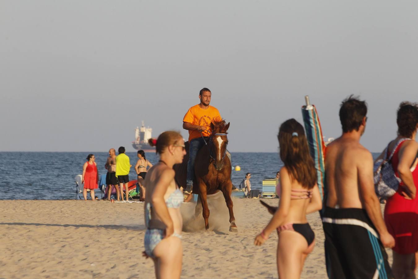 Como cada año desde hace más de dos siglos, este miércoles se celebró la carrera final de uno de los espectáculos con más historia que completan el calendario de fiestas de Pinedo. La exhibición se desarrolló entre las 20 y las 22 horas junto a la playa canina. Este año, la exhibición ha estado compuesta por ocho jinetes de diferentes poblaciones, entre otros Vera Piquer, Empar Zumalde y Pepe Piquer con cuadras de Beniparrell, Albal i El Perellonet. Por segundo año consecutivo, esta fiesta ha sido incorporada a la Feria de Julio, lo que incrementa el ambiente