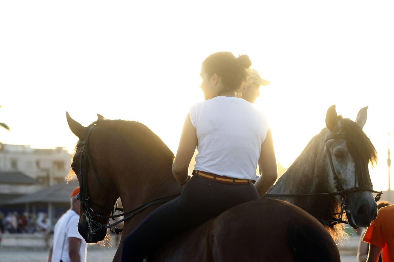 Como cada año desde hace más de dos siglos, este miércoles se celebró la carrera final de uno de los espectáculos con más historia que completan el calendario de fiestas de Pinedo. La exhibición se desarrolló entre las 20 y las 22 horas junto a la playa canina. Este año, la exhibición ha estado compuesta por ocho jinetes de diferentes poblaciones, entre otros Vera Piquer, Empar Zumalde y Pepe Piquer con cuadras de Beniparrell, Albal i El Perellonet. Por segundo año consecutivo, esta fiesta ha sido incorporada a la Feria de Julio, lo que incrementa el ambiente