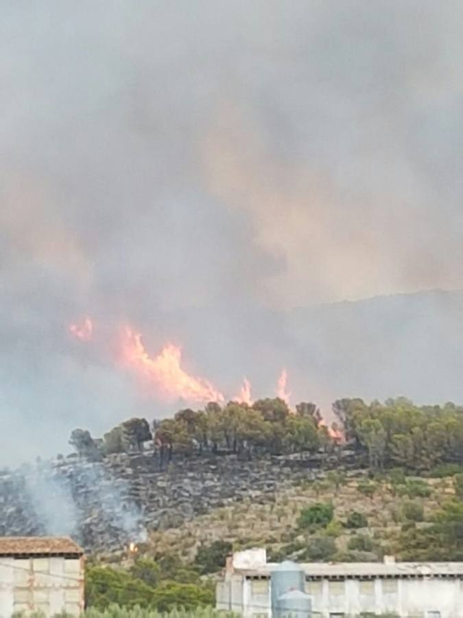 Incendio en Llutxent.