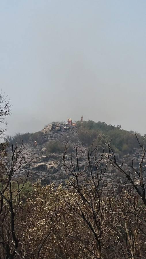 El incendio de Llutxent, activo desde el lunes 6 de agosto, y cuyo origen apunta a un rayo, ya ha arrasado 1.500 hectáreas y obligado a desalojar a 2.500 personas de tres urbanizaciones. Al lugar se han desplazado 600 efectivos terrestres y 22 medios aéreos para sofocar el fuego, que ya ha dejado las primeras imágenes de las consecuencias de su paso.