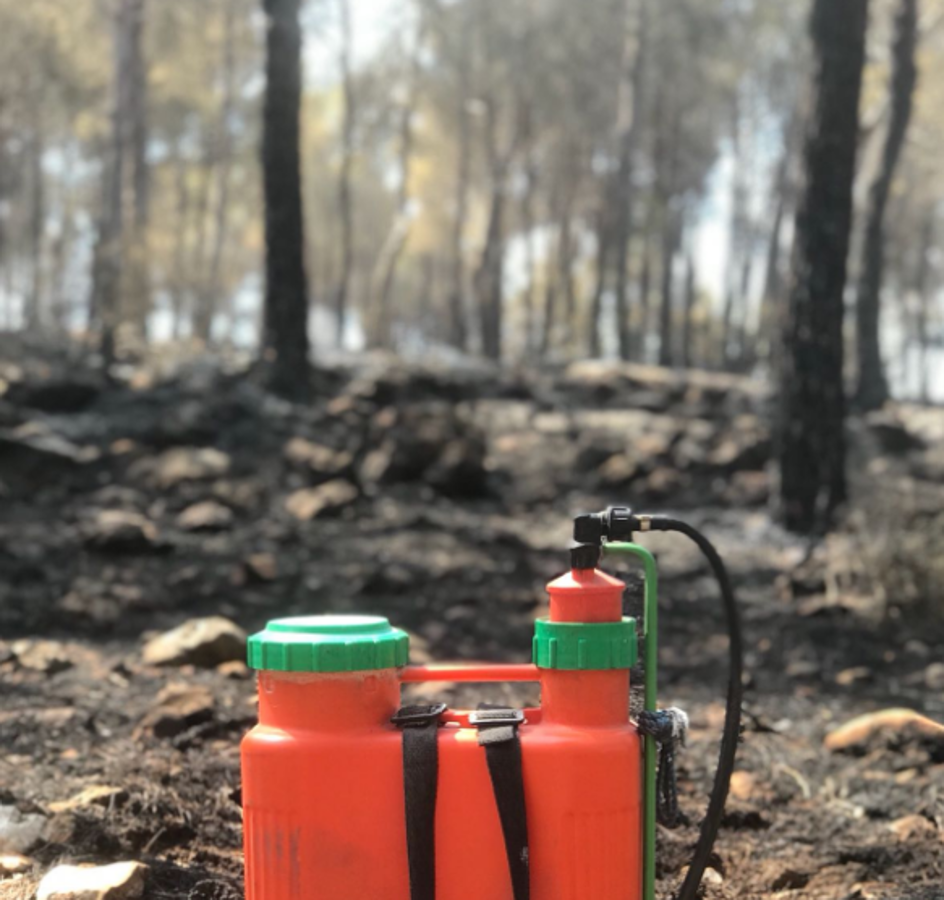 El incendio de Llutxent, activo desde el lunes 6 de agosto, y cuyo origen apunta a un rayo, ya ha arrasado 1.500 hectáreas y obligado a desalojar a 2.500 personas de tres urbanizaciones. Al lugar se han desplazado 600 efectivos terrestres y 22 medios aéreos para sofocar el fuego, que ya ha dejado las primeras imágenes de las consecuencias de su paso.