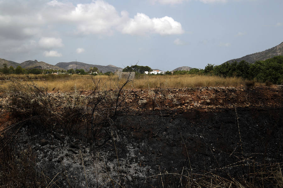 La zona de la Marxuqera (Gandía) calcinada por el incendio 