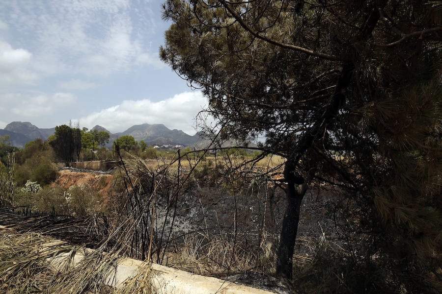 La zona de la Marxuqera (Gandía) calcinada por el incendio 