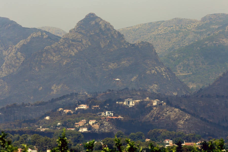 La zona de la Marxuqera (Gandía) calcinada por el incendio