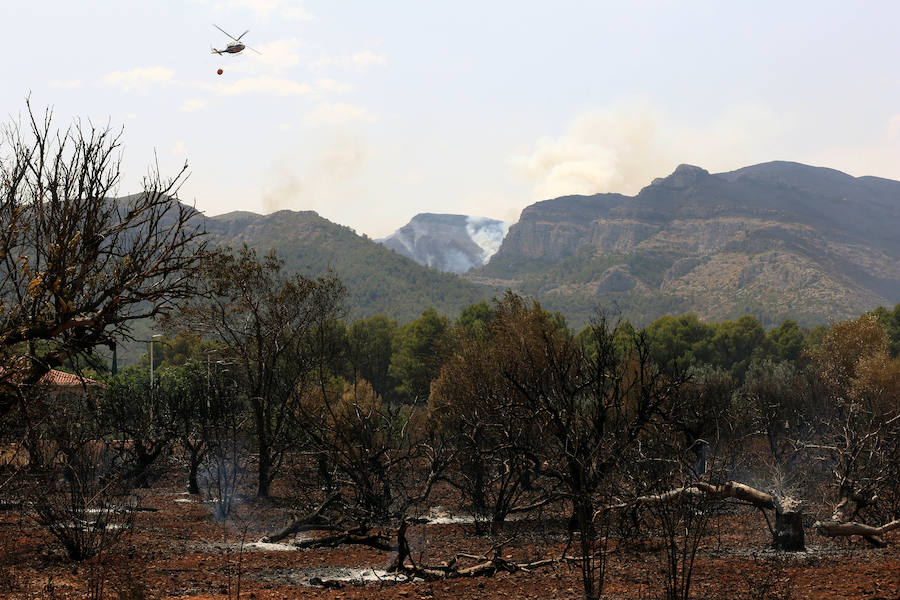 La zona de la Marxuqera (Gandía) calcinada por el incendio