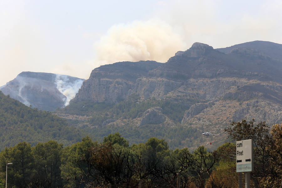 La zona de la Marxuqera (Gandía) calcinada por el incendio