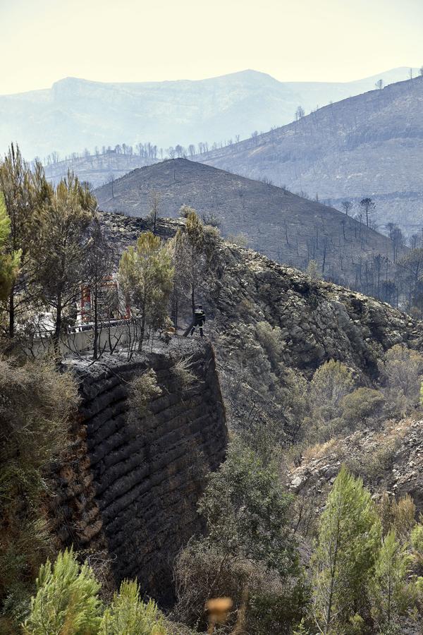 Vista del aspecto que presenta la zona de la Marxuqera (Gandía) esta tarde, arrasada por el incendio forestal de Llutxent