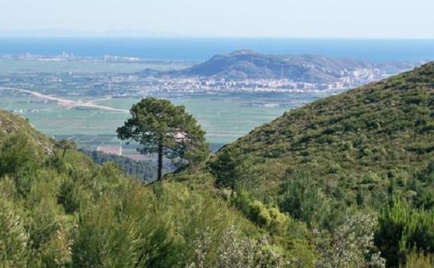 Mirador de El Surar.