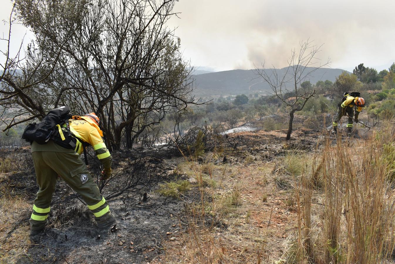 Trabajos de las Brigadas Forestales para la extinción de incendio en Llutxent.