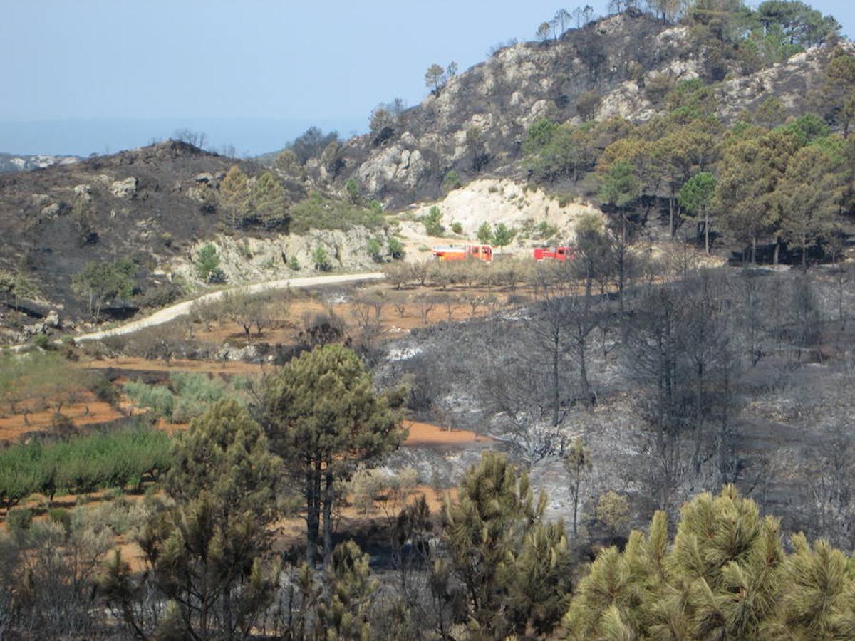 Zona calcinada por el incendio.