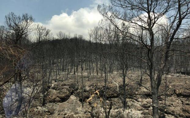 Gandia revisará más de 40 chalés ante el riesgo de desplome en Marxuquera