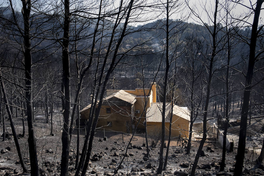 Fotos: Así han quedado las casas tras el incendio de LLutxent