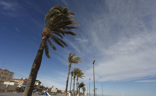 Temporal de viento en Valencia 