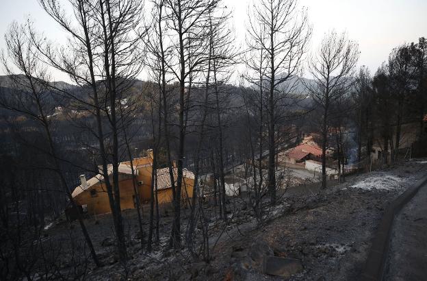 Zona afectada por el incendio forestal de Llutxent. 