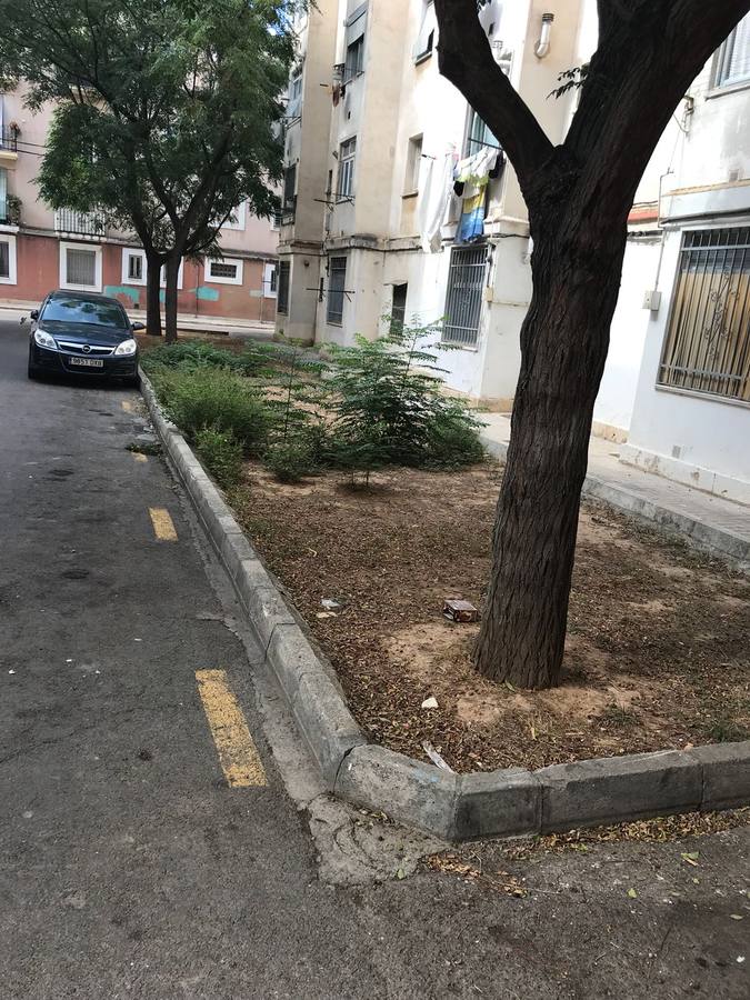 Fotos: Ocupaciones ilegales en el barrio de la Esperanza de Valencia