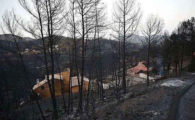 Incendio forestal de Llutxent 