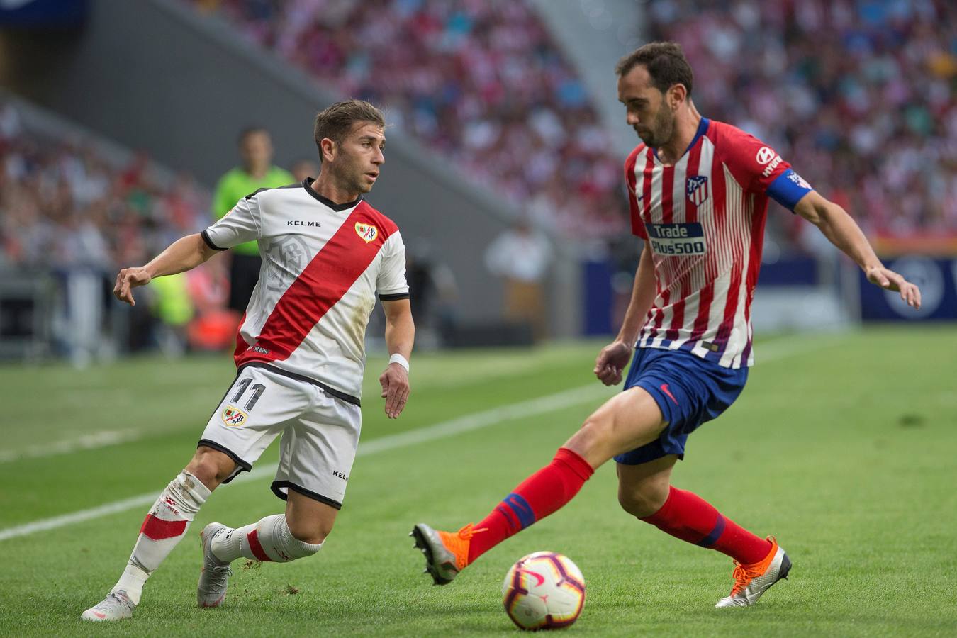 Las mejores imágenes del partido entre el Atlético de Madrid y el Rayo Vallecano, correspondiente a la segunda jornada de Liga. 