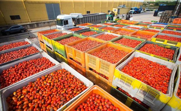 Tomatina 2018 | Todo listo para la Tomatina en Buñol | Guía práctica