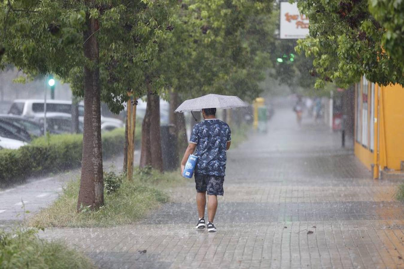 El episodio de lluvias ha obligado a los bomberos del Consorcio de la provincia de Valencia a realizar un servicio por un cuadro eléctrico afectado por la lluvia en Catarroja y también varias intervenciones en Xàtiva. En la imagen, la ciudad de Valencia, hoy.