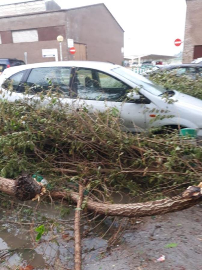 Fotos: La gota fría llega a la Comunitat Valenciana