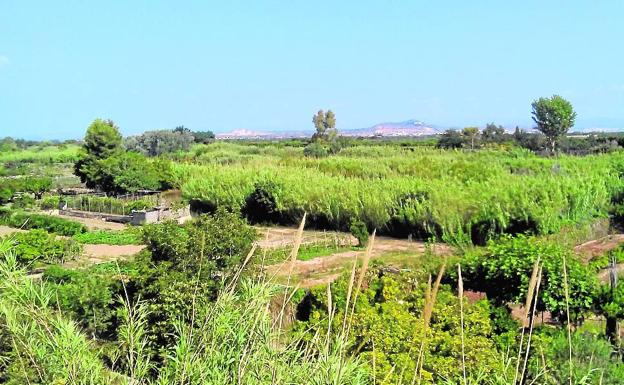 Vista parcial del Parc del Túria en Riba-roja. 