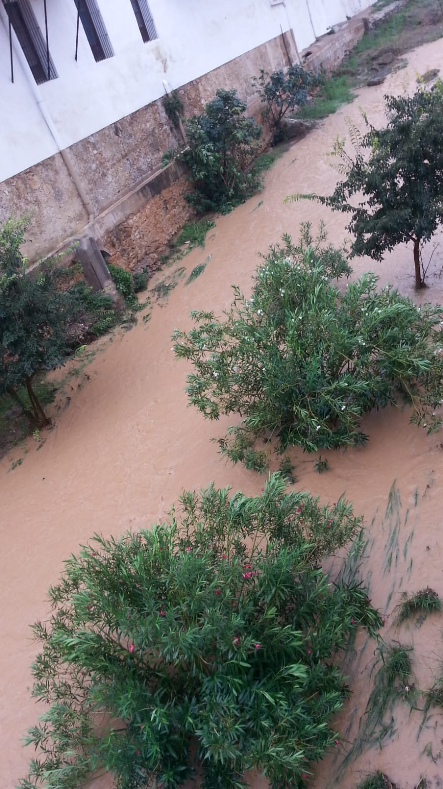 Fuertes lluvias y viento en Cheste.