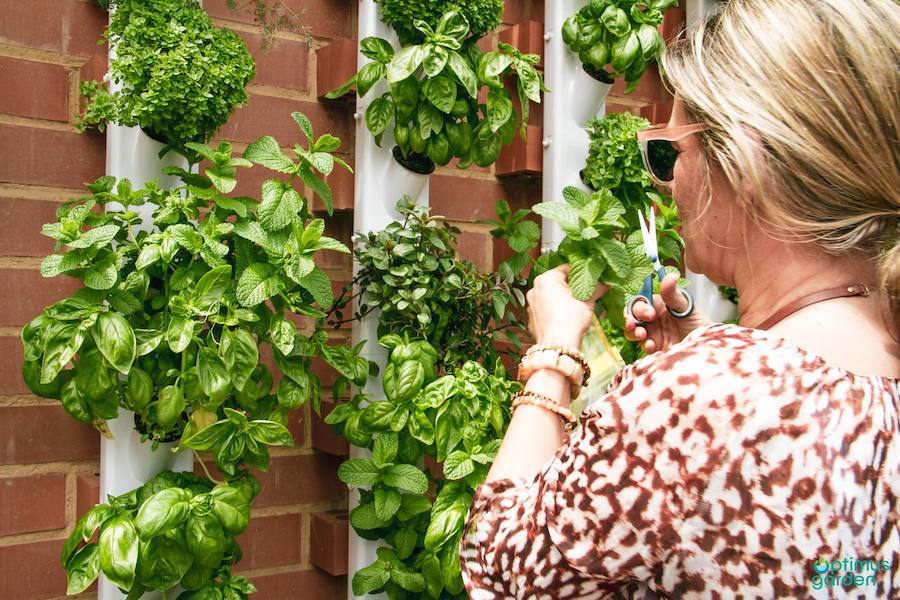 Optimus Garden. Desarrollo y venta de estructuras para montar pequeños huertos urbanos verticales en casa o locales