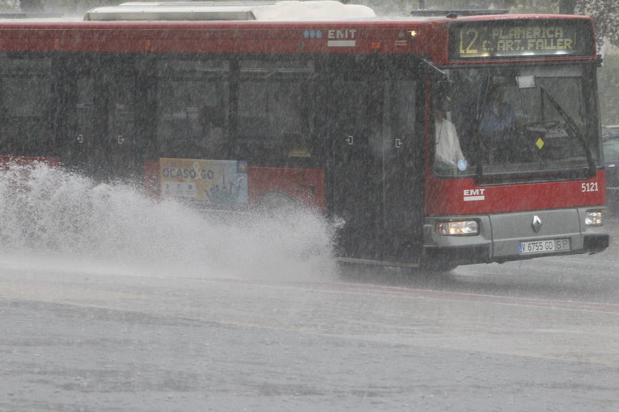 Caídas de árboles y ramas por la tormenta en la ciudad de Valencia.