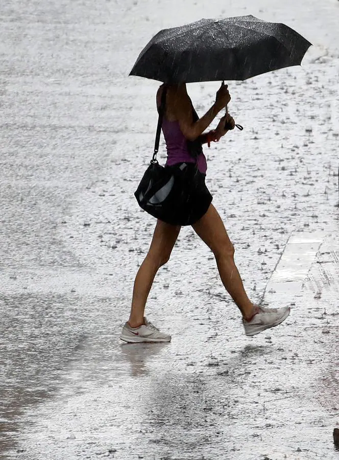 Caídas de árboles y ramas por la tormenta en la ciudad de Valencia.