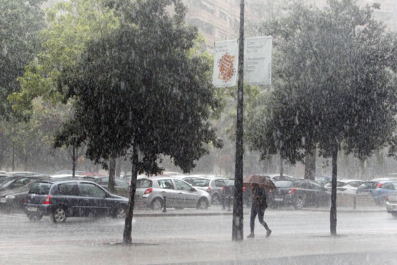 Caídas de árboles y ramas por la tormenta en la ciudad de Valencia.