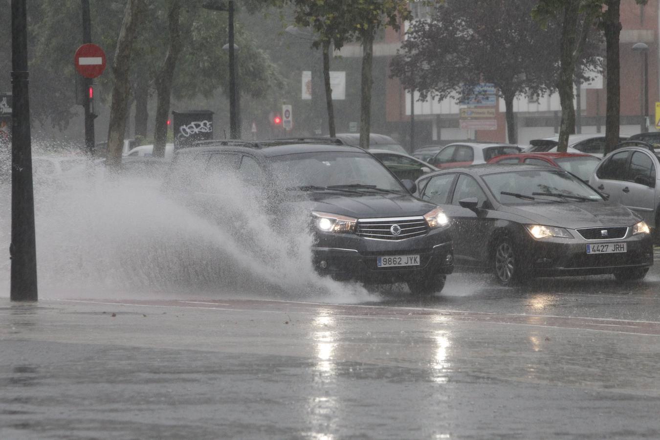 Caídas de árboles y ramas por la tormenta en la ciudad de Valencia.