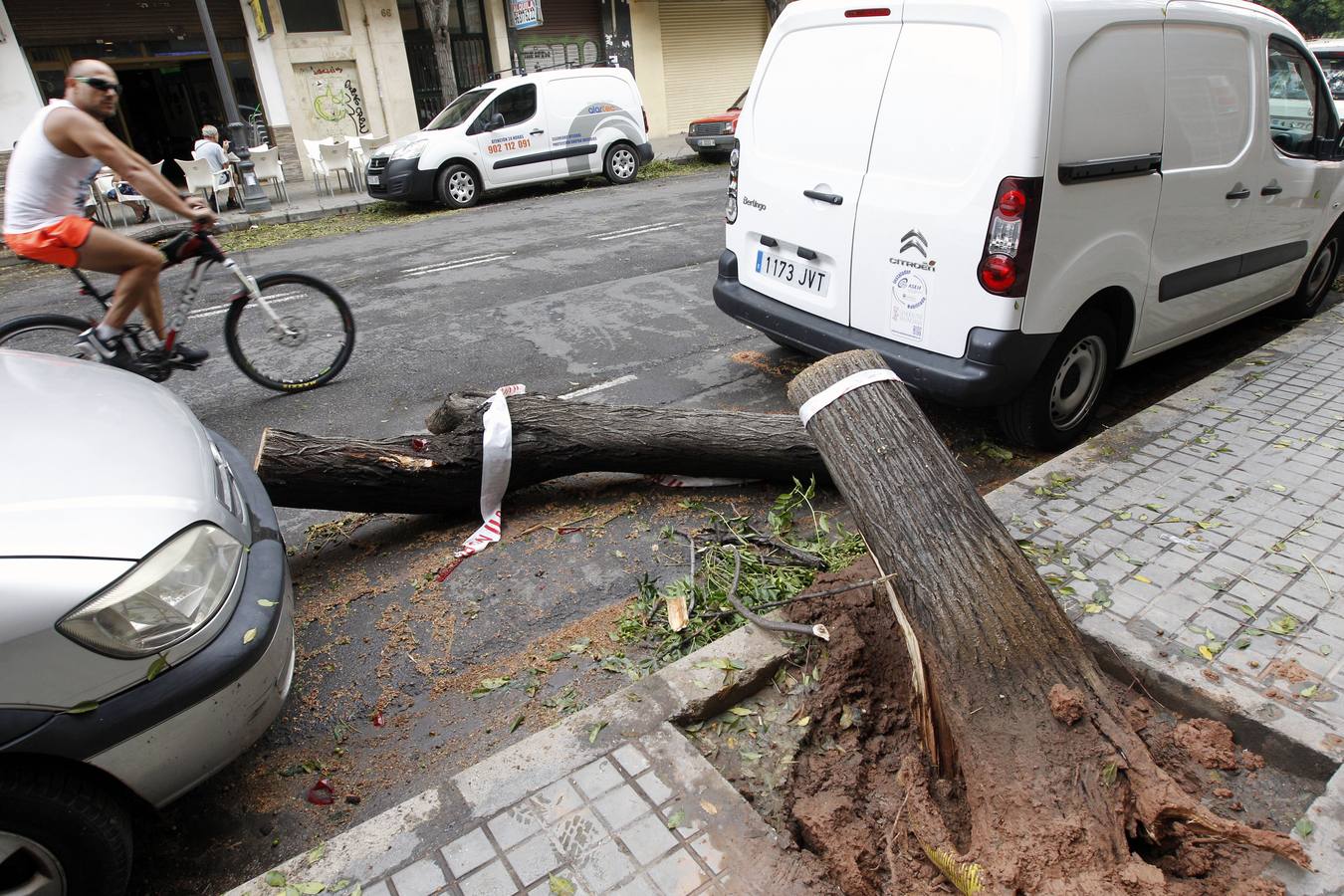 Caídas de árboles y ramas por la tormenta en la ciudad de Valencia.