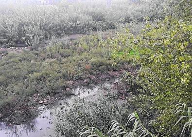 Imagen secundaria 1 - En la primera imagen: El Río Albaida en la zona de Villanueva de Castellón. Abajo, la desembocadura del río Serpis y a la derecha, el río Girona a su paso por Ondara. 