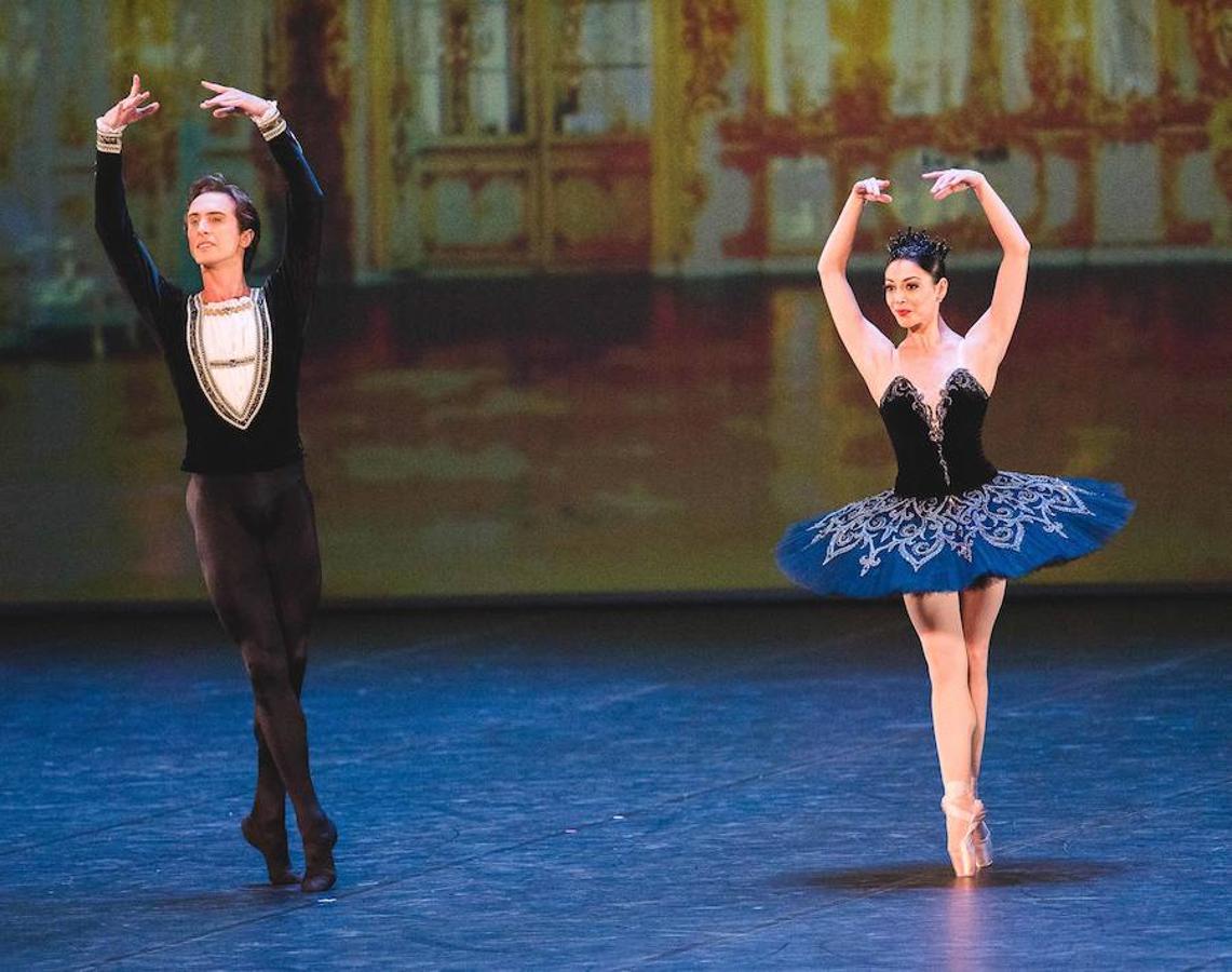 Este evento, impulsado por la Asociación de Danza ADAM y la Fundación Hortensia Herrero y cuyos fondos van destinados a la Asociación Española contra el Cáncer, tuvo lugar en el Palau de les Arts. La argentina Marianela Núñez, Una de las principales bailarinas del Royal Ballet de Londres, fue una de las grandes protagonistas.