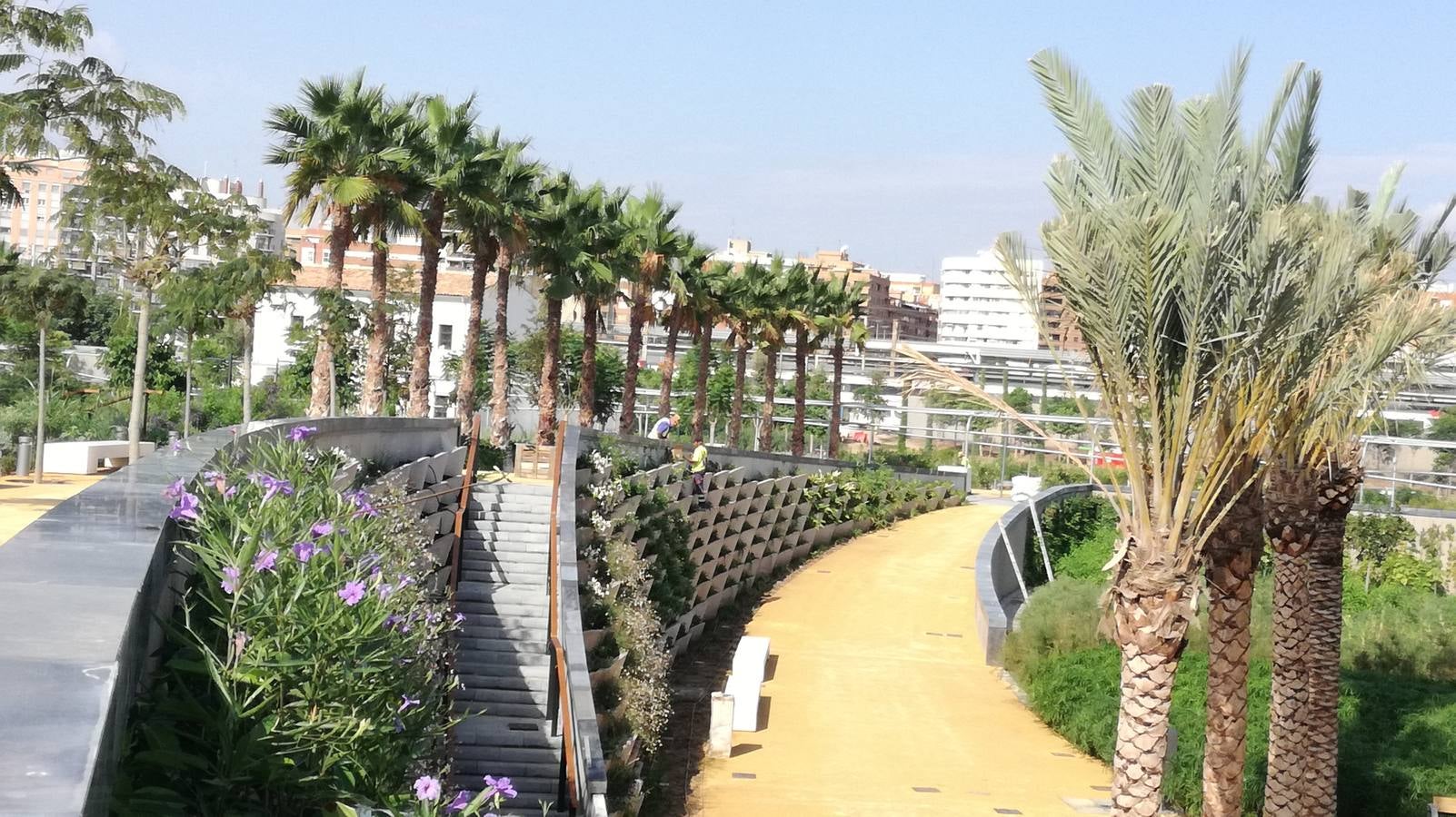 El Parque Central de Valencia comienza a ser una realidad. El avance de las obras ya permite ver cómo será uno de los pulmones de la ciudad y otro punto de encuentro para el deporte y el ocio.