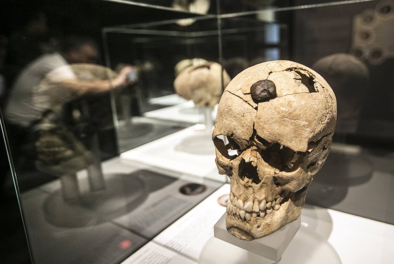 El Museu de Prehistòria de València abre las puertas de sus sala de exposiciones temporales a 'Cabezas cortadas. Símbolos de poder', una muestra dedicada al ritual de cortar cabezas. Hasta marzo de 2019 muestra esta exhibición de la violencia, como forma de veneración o para humillar al enemigo.