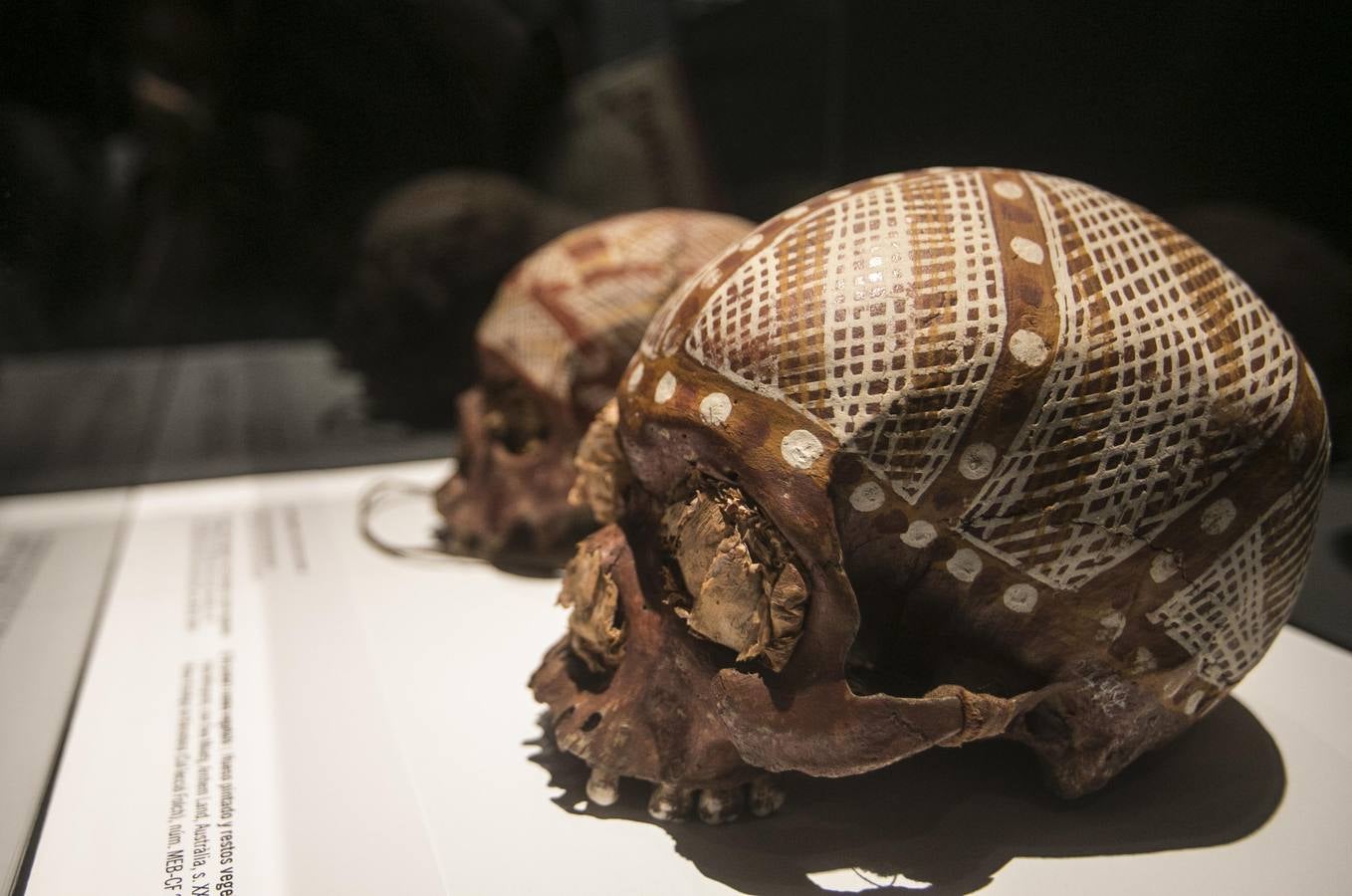 El Museu de Prehistòria de València abre las puertas de sus sala de exposiciones temporales a 'Cabezas cortadas. Símbolos de poder', una muestra dedicada al ritual de cortar cabezas. Hasta marzo de 2019 muestra esta exhibición de la violencia, como forma de veneración o para humillar al enemigo.