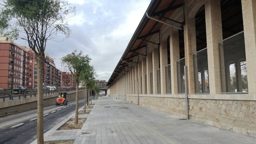 El Parque Central de Valencia comienza a ser una realidad. El avance de las obras ya permite ver cómo será uno de los pulmones de la ciudad y otro punto de encuentro para el deporte y el ocio.